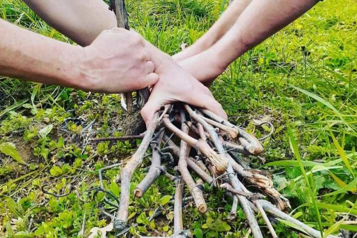 Tolentino Natural Wine Tasting