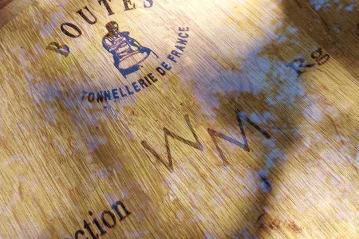 Tolentino Natural Wine Tasting