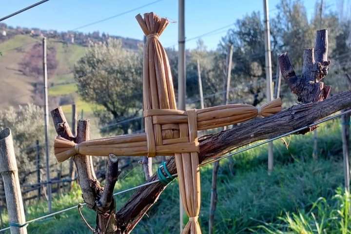 Tolentino Natural Wine Tasting