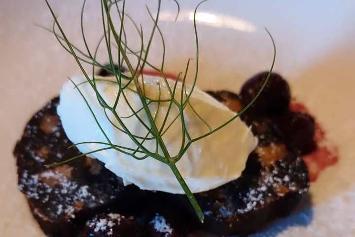 Tolentino Natural Wine Tasting