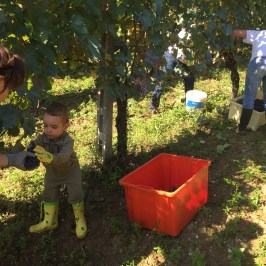 Natural Wine Tasting & Farm Tour