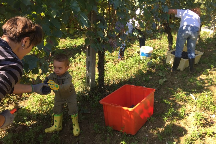 Natural Wine Tasting & Farm Tour