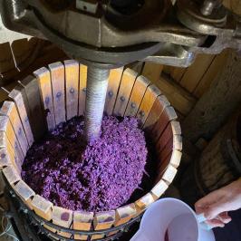 Natural Wine Tasting & Farm Tour