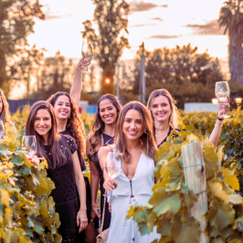 Party in the Vineyard