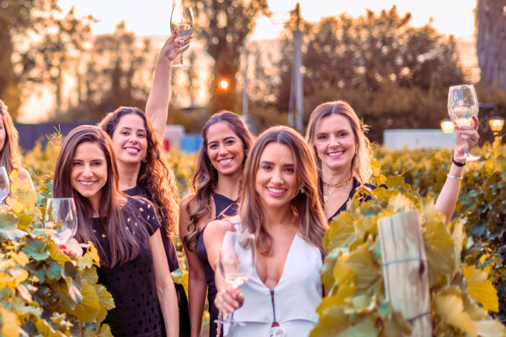 Party in the Vineyard