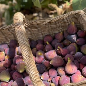 Granada cooking class