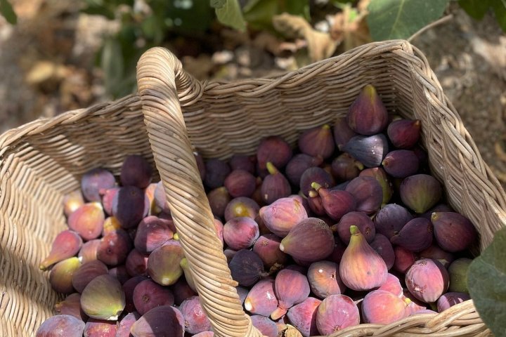 Granada cooking class