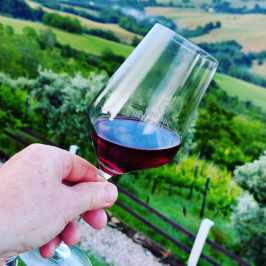 Natural Wine Tasting & Farm Tour