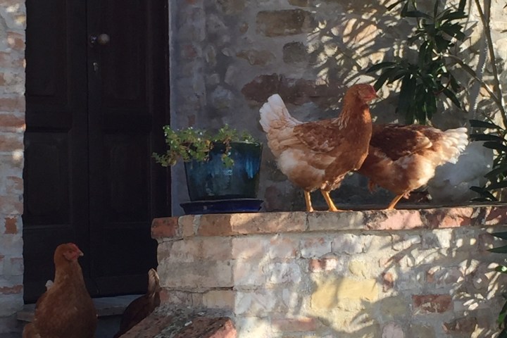 Natural Wine Tasting & Farm Tour