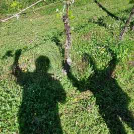 Natural Wine Tasting & Farm Tour