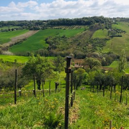 Natural Wine Tasting & Farm Tour