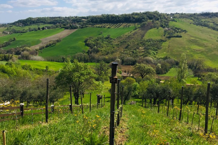 Natural Wine Tasting & Farm Tour