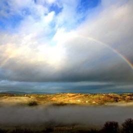 Natural Wine Tasting & Farm Tour