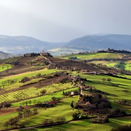 Natural Wine Tasting & Farm Tour