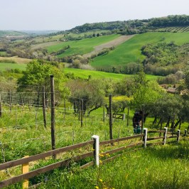 Natural Wine Tasting & Farm Tour