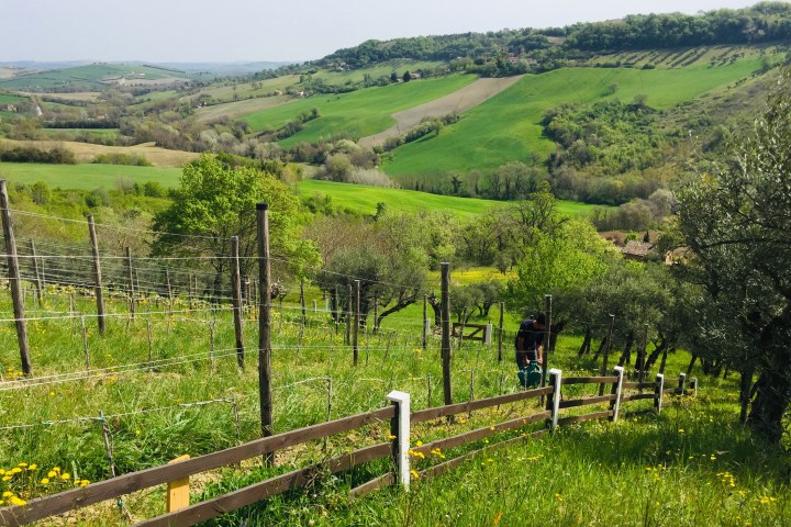 Natural Wine Tasting & Farm Tour