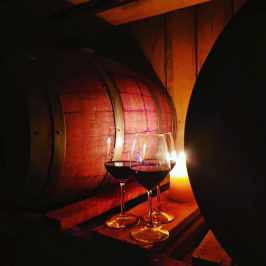 Natural Wine Tasting & Farm Tour