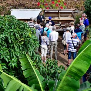 Gran Canarias Coffee Experience