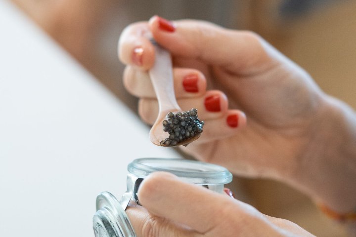 Caviar Tasting & Guided Experience