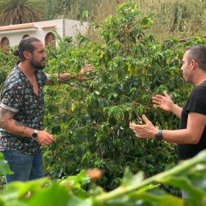 Gran Canarias Coffee Experience