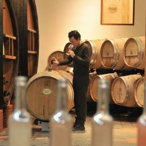 Provence Immersive Wine Experience