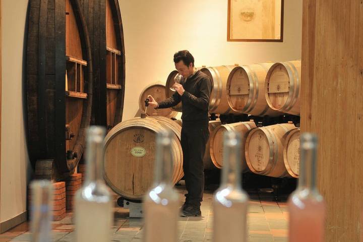 Provence Immersive Wine Experience