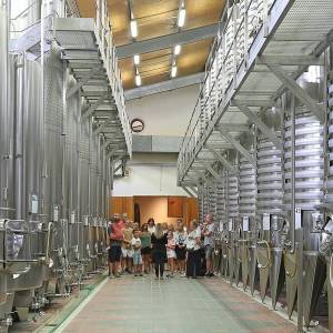 Provence Immersive Wine Experience