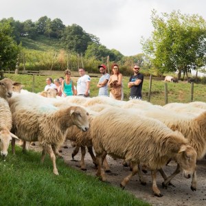 Basque Animal Farm Experience
