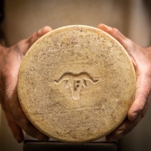 Basque Animal Farm Experience