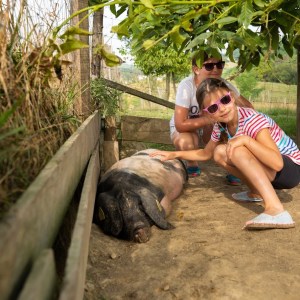 Basque Animal Farm Experience