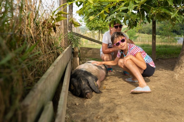 Basque Animal Farm Experience