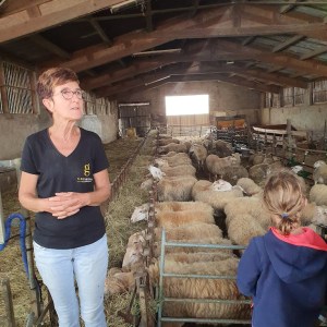 Basque Animal Farm Experience