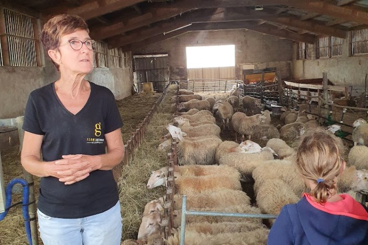 Basque Animal Farm Experience