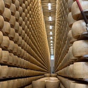 Parmigiano Reggiano D.O.P Factory Experience