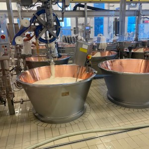 Parmigiano Reggiano D.O.P Factory Experience