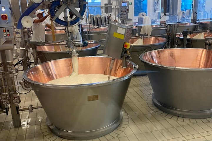 Parmigiano Reggiano D.O.P Factory Experience