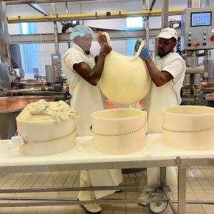 Parmigiano Reggiano D.O.P Factory Experience