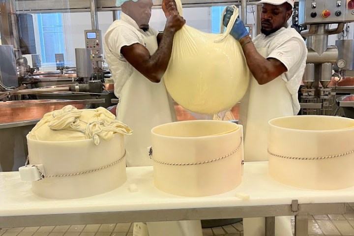Parmigiano Reggiano D.O.P Factory Experience