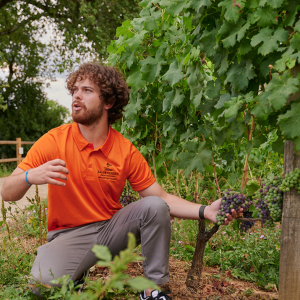 Visite Nature & Terroir Experience