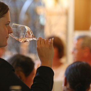 Provence Immersive Wine Experience