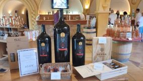 Provence Immersive Wine Experience