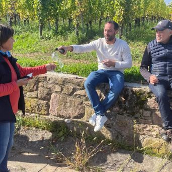 Discovery & Tasting Alsace Wine