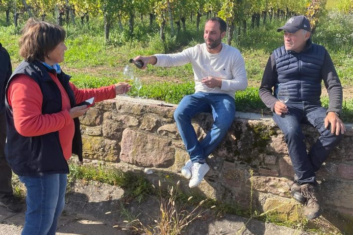 Discovery & Tasting Alsace Wine
