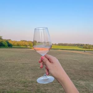 Bordeaux Vertical Wine Experience