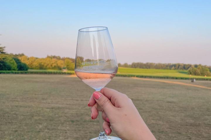 Bordeaux Vertical Wine Experience