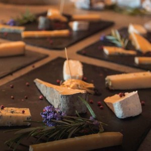 Alsace Vintage Wine Tasting Experience