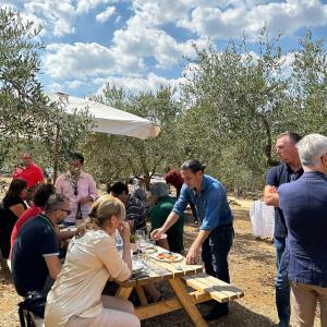 Olive Oil Experience & Paired Food Tasting
