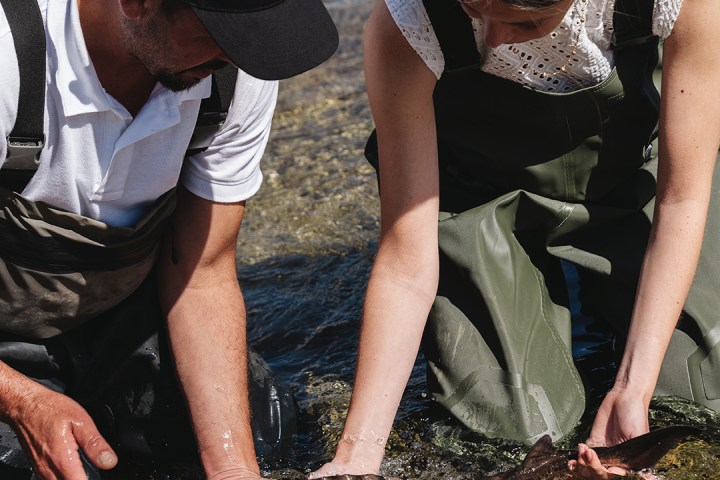 Caviar Tasting & Guided Experience