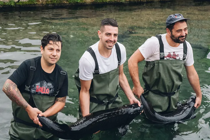 Caviar Tasting & Guided Experience