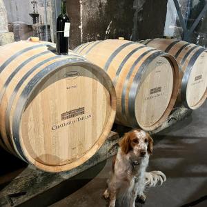 Bordeaux Vertical Wine Experience